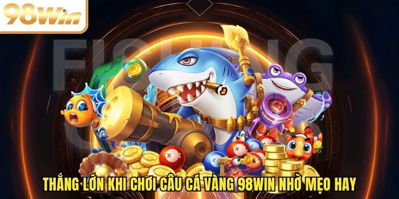Thắng lớn khi chơi câu cá vàng 98WIN nhờ mẹo hay
